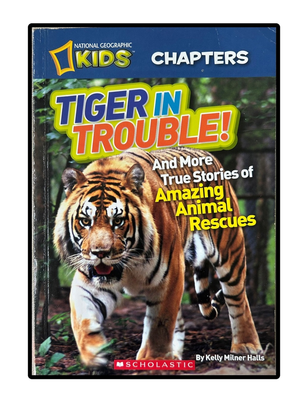 BUNDLE & SAVE 🐯National Geographic Kids Tiger in Trouble! Paperback Chapter Book